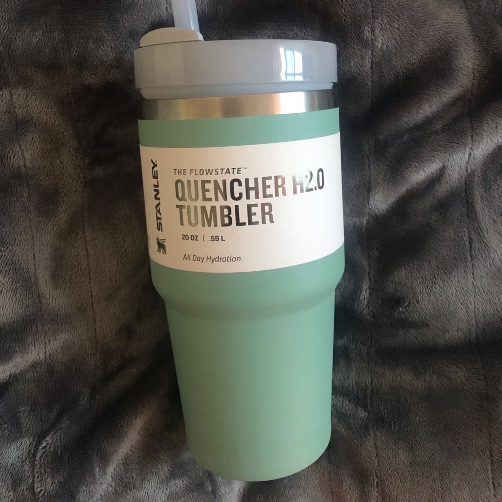 NWT 20oz Stanley w/straw